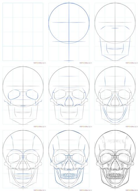 How To Skull Drawing, Skull For Drawing, Skull Drawing How To, How To Draw A Human Skull, Drawing The Skull, How To Sketch A Skull, How To Draw Human Skeleton, Skull Sketch Tutorial, Human Skull Drawing Sketches