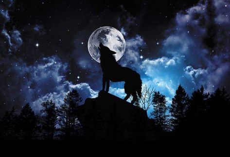 Wolf Howling At The Moon, Wolf Designs, Wolf Running, Howlin Wolf, Forest Moon, Moon Tree, Howling At The Moon, Wolf Silhouette, Symbol Of Strength