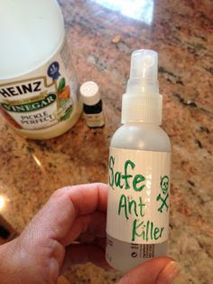 kid friendly ant killer Ant Killer Recipe, Ant Removal, Snake Repellent, Ant Spray, Bug Repellant, Tiny Ants, Pet Remedies, Rid Of Ants, Get Rid Of Ants