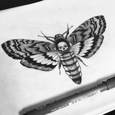 Tattoo Papillon, Lamb Tattoo, Borboleta Tattoo, Moth Drawing, Moth Tattoo Design, Skull Moth, Skull Wings, Insect Tattoo, Movie Tattoos