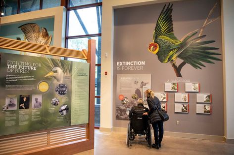 New Audubon Center resembles a bird in flight and aims to be a bigger regional attraction Museum Exhibition Design, James Audubon, Birds Of America, John James Audubon, Human Interaction, Bird Wall Art, Learning Styles, Nature Center, Museum Exhibition