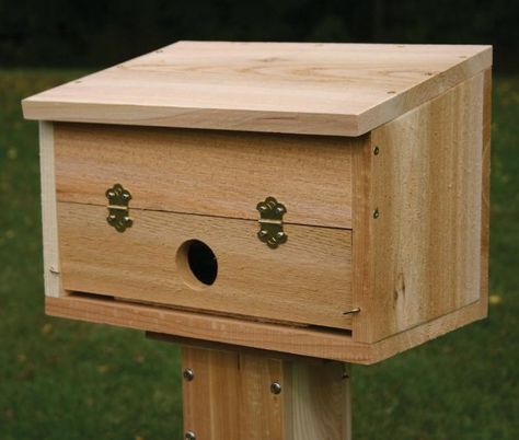 You aren't the only one looking to stay warm and safe during winter storms. Consider a roosting box to provide a haven for local birds. Birdhouses Bird Feeders, Bird House Feeder, Bird House Plans, Bird House Kits, Bird Aviary, Diy Birds, Bird Houses Diy, Winter Bird, Bird Boxes