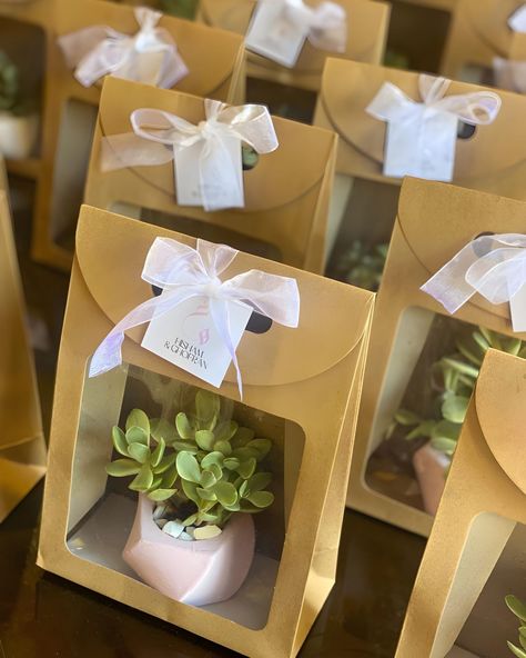 Plant Themed Wedding Favors to Wow Your Wedding Guests Potted Plant Wedding Favors, Plant Wedding Favours, Guest Gifts Wedding Favors Ideas, Plant Themed Wedding, Wedding Prompts, Plant Party Favors, Wedding Giveaways Ideas, Terrarium Wedding Favor, Succulent Business