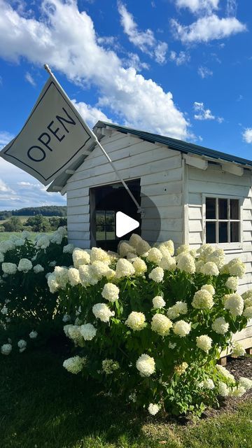 Katy King 🌸 Flower Farmer on Instagram: "Thinking of selling cut flowers this year? A roadside flower shed is a quick & easy way to get started.   I opened our shed in 2020 during my second full year of business. Four year later, it continues to be a major piece of the puzzle in my flower business in terms of both sales and marketing. “The Flower Shed” is a permanent and reliable way for customers to find (and purchase) my flowers while balancing my busy schedule as a mom and business owner.  A few tips for starting your own flower shed or farm stand:   🌻 get approval from your local township, county or state for a roadside stand and register your business with the state to legally collect sales tax   🌻 create a space that is visible and suited for a fresh, perishable product with space Roadside Flower Stand, Flower Shed, Roadside Stand, We Shed, Flower Business, Flower Farmer, Farm Stand, Fresh Cut Flowers, Busy Schedule