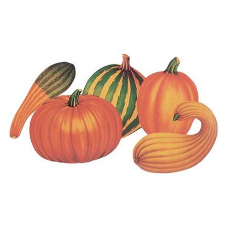 Gourd Fall Cutouts, Fall Ideas Decorating, Thanksgiving Party Decorations, Easy Fall Decor, Autumn Paper, Thanksgiving Theme, Fall Table Decor, Thanksgiving Parties, Party Stores