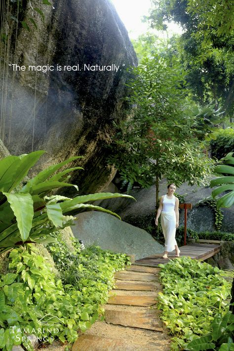 The magic is real. Naturally.  TAMARIND SPRINGS FOREST SPA, Koh Samui, Thailand Forest Spa, Ko Samui Thailand Photography, Spa Massage Therapy, Coolest Hotels, Thailand Beach Resort, Magic Is Real, Chang Mai Thailand Hotels, Koh Samui Elephant Sanctuary, Koh Samui Hotel