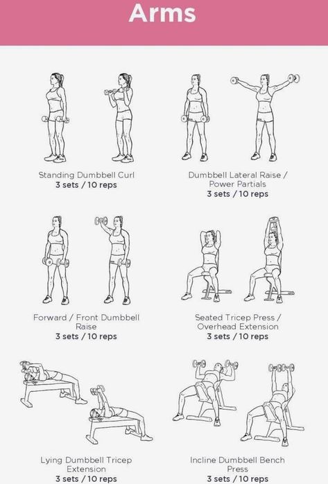 Workout Programs With Weights, Beginner Training Program, Gym Session Plan, Workout Plans With Weights, Work Outs For Women Gym, Pots Workout Plan, Basic Weight Training For Women, Easy Gym Workout For Beginners Machines, Light Gym Workout