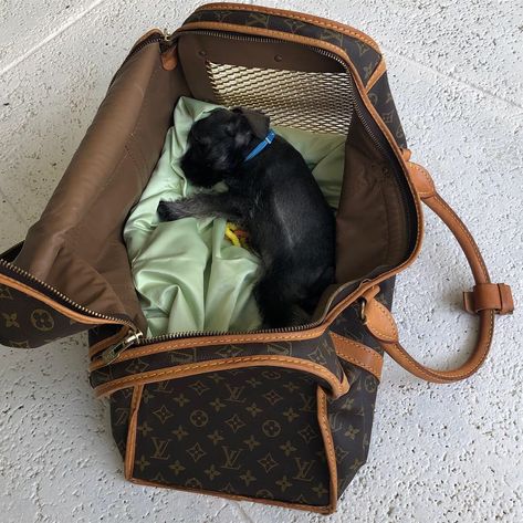 Louis Vuitton Pet Carrier, Louis Vuitton Dog Carrier, Airplane Pet Carrier, Luxury Dog Carrier, Luxury Pet Carrier, Designer Dog Carriers, Dog Carrier Purse, Small Dog Carrier Purses, Dog Crate Cover