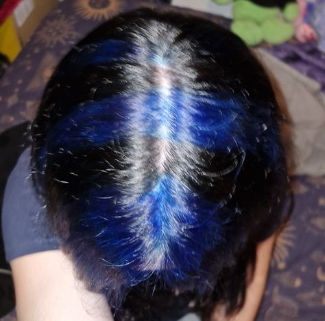 I love my hair Green Stripes Hair, Skunk Stripe Hair Blue, Dyed Hair Y2k, Blue Skunk Hair, Blue Skunk Stripe Hair, Blue And Black Highlights, Hair For 15, Blue Hair Streaks, Dye Hair Ideas