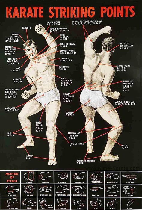 2.POINTS/Karate Striking points: I have this POSTER in my garage, next to my punching bag Kenpo Karate, Kyokushin Karate, Trening Sztuk Walki, Self Defense Moves, Shotokan Karate, Self Defense Martial Arts, Karate Martial Arts, Self Defense Techniques, Martial Arts Techniques