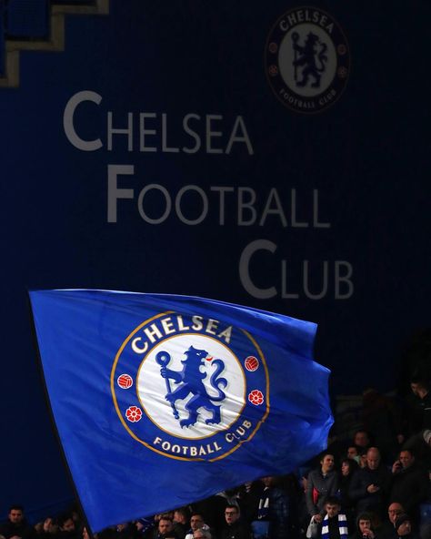 Chelsea FC di Instagram "Keep the 🔵 flag flying high! #CFC #Chelsea" Chelsea Flag, Football Chelsea, Chelsea Football Club Wallpapers, Chelsea Football Team, Chelsea Fc Wallpaper, Football Celebrations, Chelsea Wallpapers, Bridge Wallpaper, Fc Barcelona Wallpapers