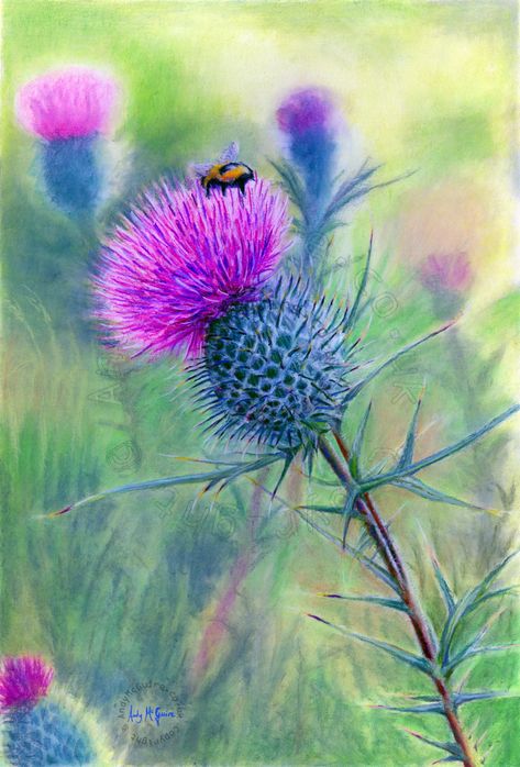 Scottish Thistle Art, Thistle Painting, Thistles Art, Scotland Landscape, Art Tutorials Watercolor, Watercolor Plants, Scottish Artists, Scottish Thistle, Watercolor Flower Art