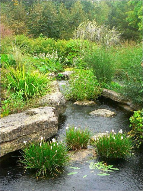 Wildlife Pond, Kolam Koi, Garden Water Features, Backyard Ponds, Garden Rocks, Fountains Backyard, Garden Ponds, Pond Waterfall, Pond Water Features