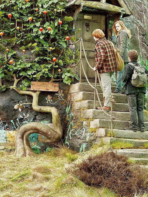 Keep of the Dirigible Plums! hahaha Lovegood House, Harry Potter, Plants