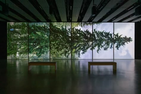 An exhibition of work by 37 international artists celebrates trees and forests Jeff Wall, Robert Smithson, Botany Illustration, Ugo Rondinone, Hayward Gallery, Life Form, Opening Hours, International Artist, Source Of Inspiration