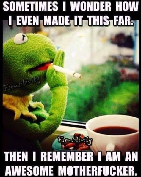 Funny Kermit Memes, Kermit Funny, Sometimes I Wonder, Sarcastic Quotes Funny, Badass Quotes, Twisted Humor, Work Humor, The Frog, Sarcastic Humor