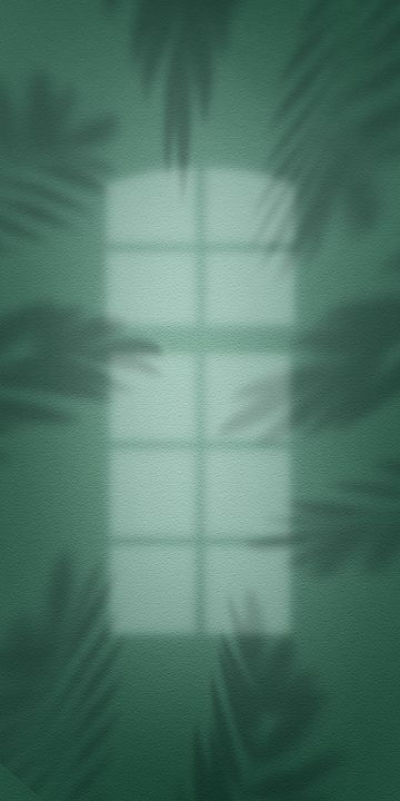 Shoot Effect Background, Background Studio Lighting, Snoot Photography Effect Png, Essay Background Design, Background Design Portrait, Poster Background Design Creative, Photo Studio Design Backgrounds, Photography Backgrounds Studio, Palm Leaves Background