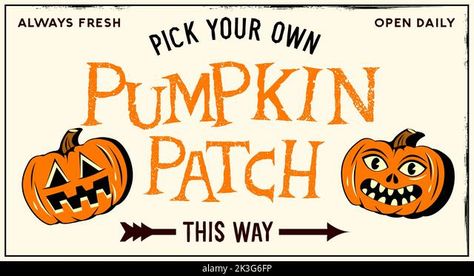 A pumpkin patch pick your own sign with vintage halloween Jack O Lanterns. Vector illustration Stock Vector Social Media Editorial, Halloween Pumpkin Patch, Pumpkins For Sale, Halloween Merch, Horror Movie Night, Wallpapers Posters, Vintage Halloween Cards, Pumpkin Patch Sign, Halloween Templates