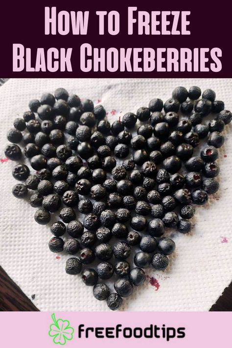 How To Process Elderberries, How To Prepare Elderberries, How To Keep Berries Fresher Longer, Aronia Berry Syrup, Aronia Berry Recipes, Keto Friendly Fruit, Berry Crisp Recipe, Benefits Of Berries, Types Of Berries