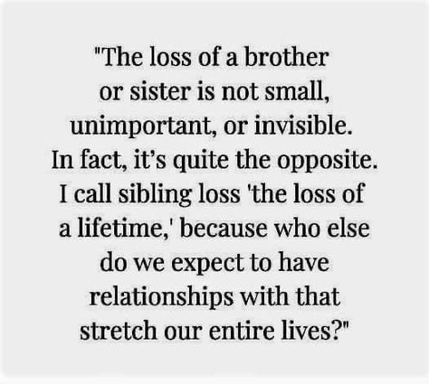 Losing Your Sister Quotes, Loss Of Sibling Brother, Griefing Your Sibling, Sibling Loss Sister, Sibling Loss Brother, Losing A Sibling Quotes Brother, Brother In Heaven Quotes From Sister, Losing A Brother Quote, Loss Of A Sibling