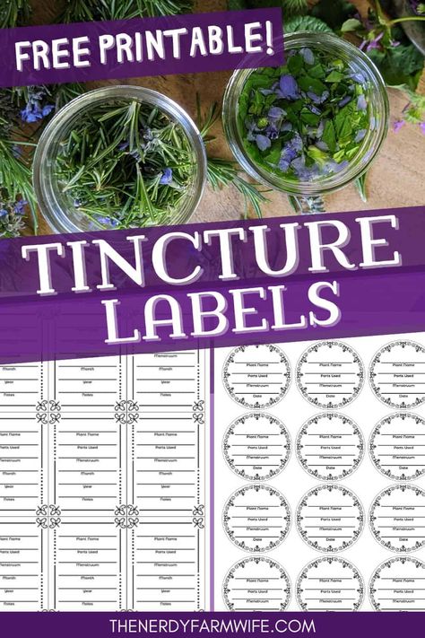 These free printable labels will help you keep track of your homemade herbal tinctures! Free Herbal Printables, Tincture Labels, Medicine Recipes, Tincture Bottles, Herb Labels, Diy Medicine, Herbal Education, Herbal Medicine Recipes, Apothecary Labels