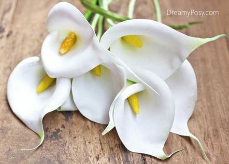 You can easily DIY these realistic paper Calla Lily flowers with the FREE templates and tutorial her. Arrange it like this, or make it as wedding posy? Flowers Arrangements Simple, Paper Calla Lily, Calle Lily, Calla Lily Flower, Calla Lily Flowers, Ideas For Flowers, Lilly Flower, Lily Flowers, Paper Flower Template