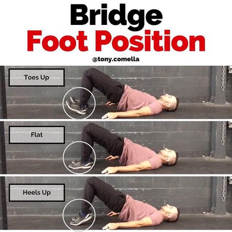 FOOT POSITION AND THE BRIDGE by @tony.comella⠀ —⠀ 🌉 Let’s talk about the bridge again, this time focusing on the foot (previous post was on… Flute Bridge, Soleus Muscle, Standing Exercises, Flat Foot, People Struggle, Hip Flexor, Top Photo, The Bridge, Training Programs