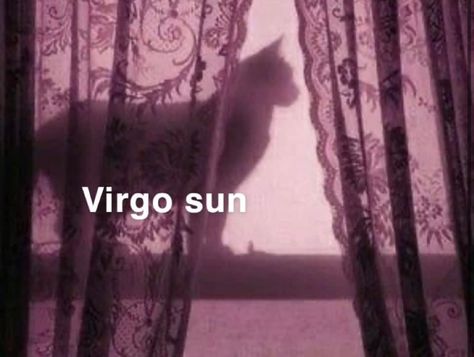 Virgo Sun Aesthetic, Virgo Core, Virgo Sun Sign, Virgo Energy, Scorpio Virgo, Virgo Sun, Virgo And Taurus, Earth's Core, Taurus Moon