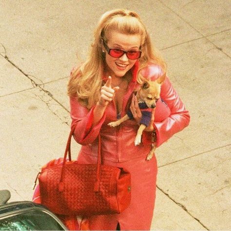 Illegally Blonde, Legally Blonde Outfits, What Like Its Hard, Legally Blonde 3, Blonde Outfits, Legally Blonde Movie, Blonde Icons, Blonde Movie, Blonde Halloween Costume