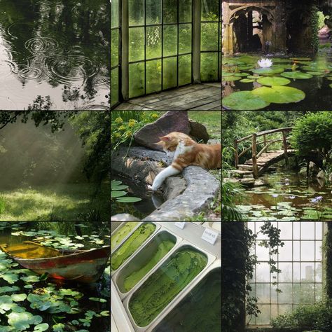 Green And Brown Mood Board Aesthetic, Light Green Moodboard, Green And Brown Mood Board, Moodboard Character Design, Nature Mood Board Inspiration, Dark Green Moodboard, Green Moodboard Aesthetic, Cat Moodboard, Green Mood Board