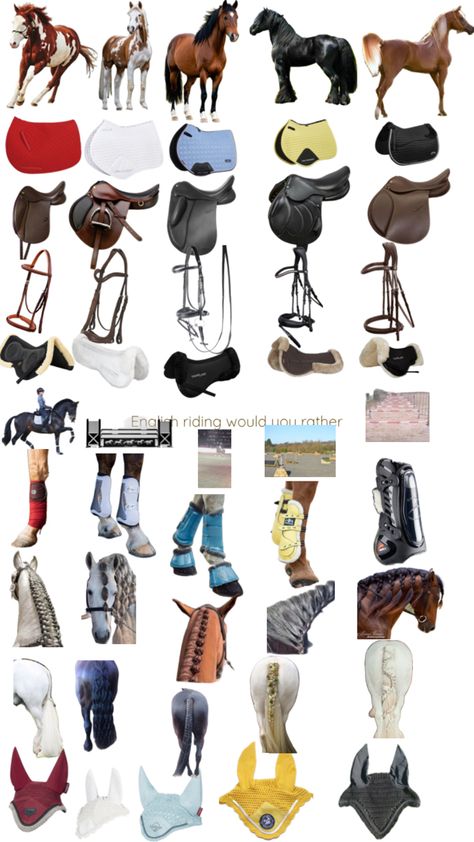 #pickyourhorse#havefun#tack#yay#englishriding English Equestrian Outfits, Dressage Tack, Equestrian Style Outfit, English Horse Tack, Horsey Life, Horse Riding Tips, Horse Riding Clothes, English Horse, English Riding