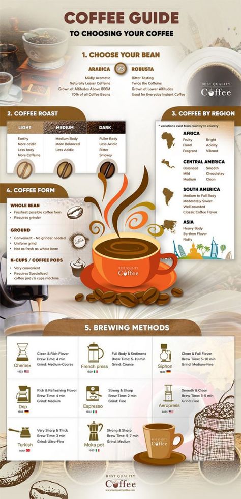 Infographic Recipe, Coffee Infographic Posters, Infographic Posters, Coffee Infographic, Opening A Coffee Shop, Coffee Guide, Aromatic Bitters, Healthy Hydration, Coffee Facts