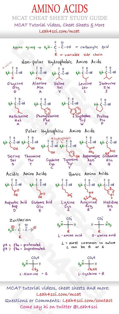 Amino Acids Chart, Study Sheet, Mcat Prep, Mcat Study, General Science, Organization Chart, Pharmacy School, Ap Biology, Chemistry Lessons