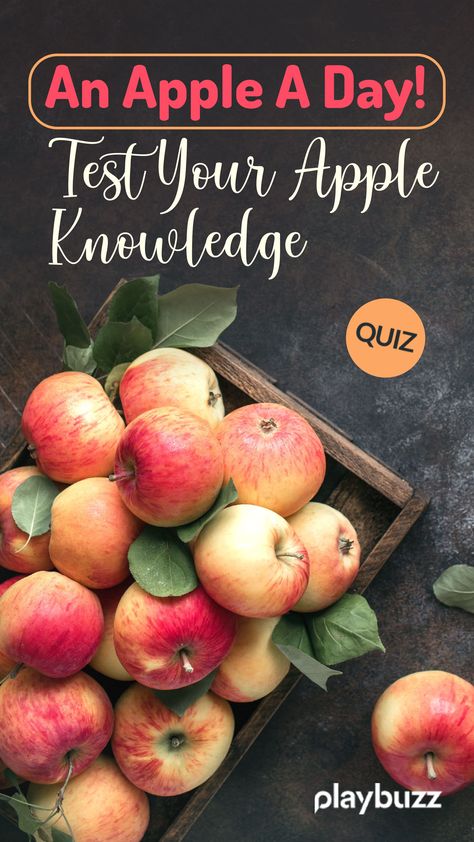 September 18 was Eat an Apple Day! So grab a shiny one and take a bite and see how you score... #PlaybuzzQuiz General Knowledge Trivia Food Apple Fruit History Apple Trivia, Apple Day, Playbuzz Quiz, Apple 7, Apple 6, An Apple A Day, Fav Food, Knowledge Quiz, Apple A Day