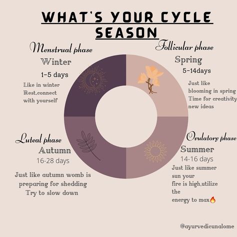 Menstruation Cycle, Level Up, Pie Chart