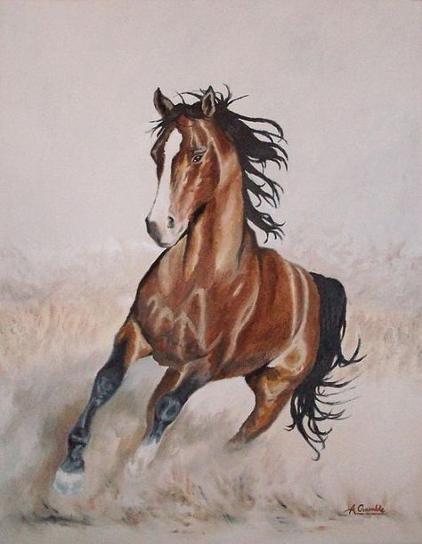 Galloping horse  original oil painting on canvas by AndromedaUK, $400.00 Run Art, Galloping Horse, Drawing Animals, Chestnut Horse, Cowboy Art, Brown Horse, Equine Art, Arte Animal, Horse Pictures