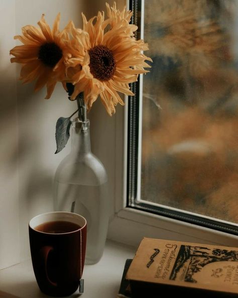 Sunflower Ideas, Teacup Flowers, Drinks Photography, Yellow Aesthetic Pastel, Flower Cottage, Fall Mood, Tea And Books, Sunflower Garden, Winter Coffee