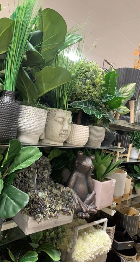 Plant Pictures Aesthetic, Cute Plants Aesthetic, Spiritual Room Aesthetic, Plant Lover Aesthetic, Green Plants Aesthetic, Plants Ideas Indoor, Indoor Plants Decor Ideas, Indoor Plant Decor Ideas, Plants Everywhere