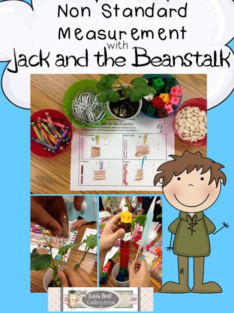 Non Standard Measurement with Beanstalks! - Little Bird Kindergarten Science Math Activities, Life Cycle Of Animals, Bird Kindergarten, Jack Beanstalk, Non Standard Measurement, Measurement Ideas, Sea Turtle Life Cycle, Turtle Life Cycle, Measurement Kindergarten