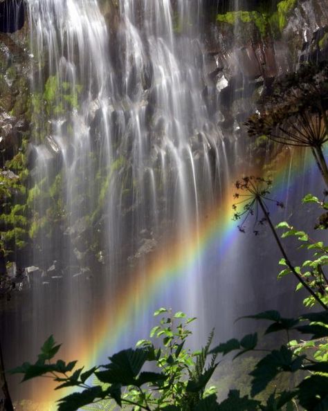 Rainbow Falls... Queda Arco-Íris... Rainbow Falls, Rainbow Connection, Ocean Pictures, Less Is More, Painting Projects, Nature Beauty, All Over The World, Wall Art Home, Art Home Decor