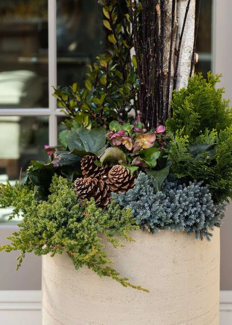 Large Winter Planters, Winter Container Garden, Holiday Porch Pots, Christmas Container Ideas, Winter Container Plants, Outdoor Planters Ideas, Outdoor Winter Decor, Fall Container Plants, Winter Pots