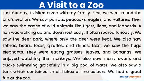 A Visit to a Zoo Essay in English Teeth Projects For Kids, Writing Comprehension, Short Moral Stories, Write An Essay, French Education, Alphabet Preschool, Moral Stories, Kids Learning Activities, New Class