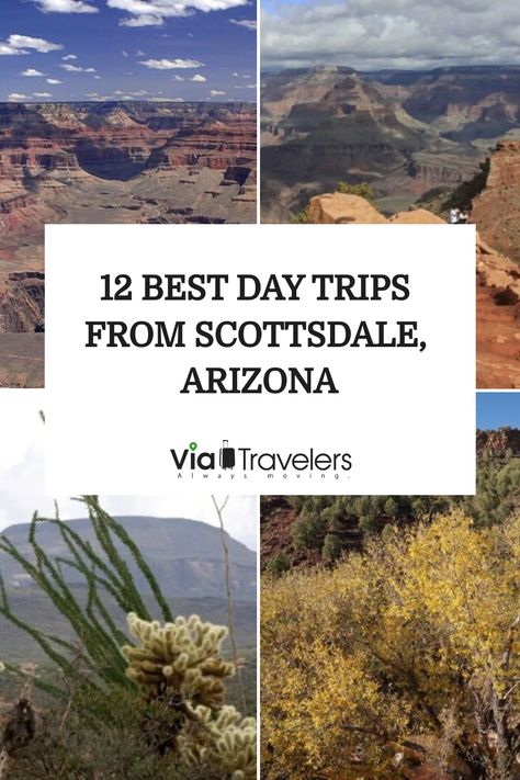 12 beautiful destinations for day trips from Scottsdale, Arizona. Glendale Arizona, Desert Oasis, Scottsdale Arizona, The Best Day, Scottsdale Az, Short Trip, Outdoor Adventures, Day Trips, Outdoors Adventure