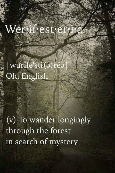 Wood Quotes, Into The Woods Quotes, Old English Words, Unique Words Definitions, Uncommon Words, Lost In The Woods, Fancy Words, Weird Words, Unusual Words