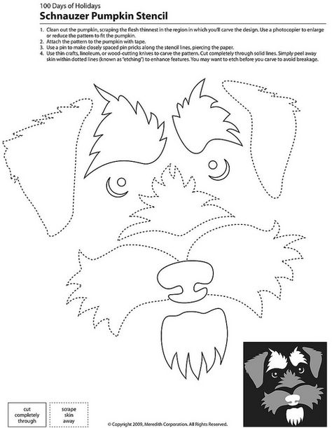 Schnauzer Pumpkin Stencil by Mutt-Uglies Freeform Sewing, Schnauzer Pumpkin, Dog Stencil, Schnauzer Art, Dog Pumpkin, Dog Quilts, Pumpkin Stencil, Mini Schnauzer, Paper Stars