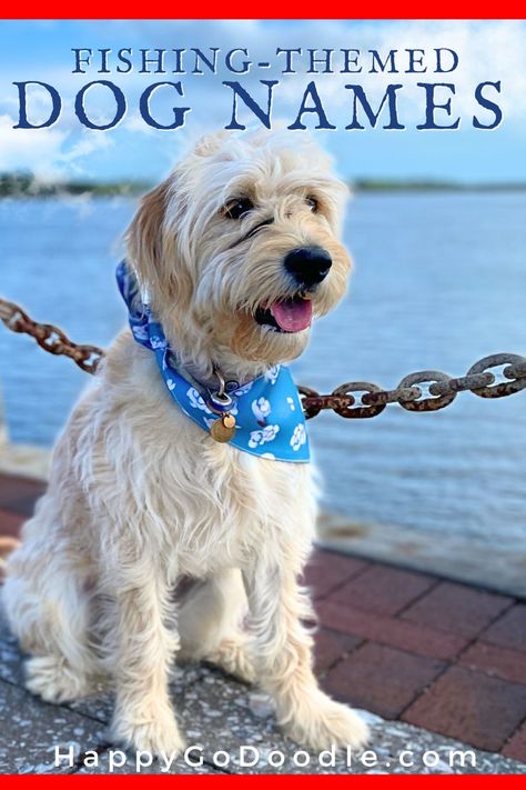 White dog sitting on a pier in front of the ocean with the title Best Fishing Dog Names Dog Names Girl, Boy Dog Names, New Puppy Checklist, Ocean Adventure, Names Girl, Catch Of The Day, Sunset Ocean, Fly Fishing Flies Trout, River Fishing