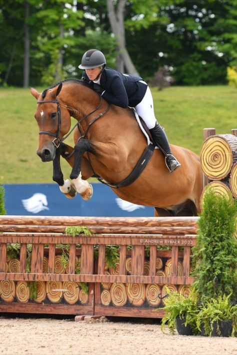 Hunter Jumper Aesthetic, Hunter Equestrian, Hunter Derby, Hunter Jumping, Hunter Aesthetic, Life Is Boring, Hunter Jumper Horses, Hunter Horse, Horsey Life