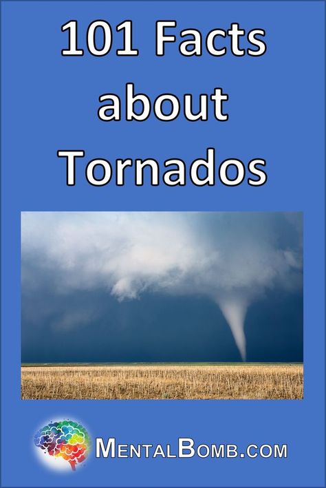 In addition to over 101 Interesting Tornado Facts, learn more about their causes, how they are studied, legends about them, and so much more! #FunFacts Fun Facts For Kids, Wild Weather, Facts For Kids, Surprising Facts, Fact Sheet, In Addition, Tornado, Facts About, Trivia