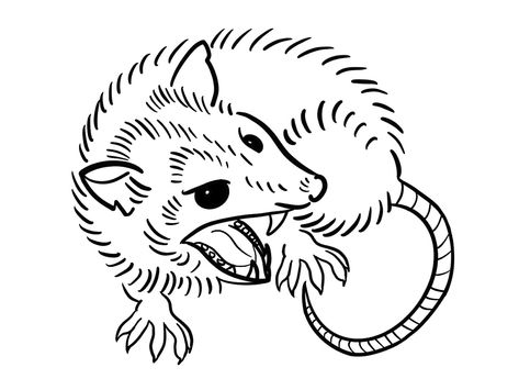 Cute Opossum Drawing, Opossum Tattoo, Beer Branding Design, Snow Tattoo, Abstract Tattoo Ideas, Lizard Tattoo, Left Arm Tattoos, Minimalist Tattoo Ideas, American Traditional Tattoo Ideas