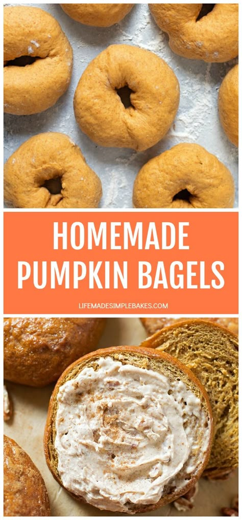 Homemade pumpkin bagels topped with a sweet whipped honey pecan cream cheese spread are perfect for those chilly fall mornings! #pumpkinbagels #bagels #fallrecipes #pumpkin #breakfast Honey Pecan Cream Cheese, Pumpkin Bagels, Whipped Honey, Cream Cheese Spread, Homemade Bagels, Bagel Recipe, Cream Cheese Spreads, Cheese Spread, Delicious Pumpkin